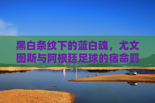 黑白条纹下的蓝白魂,尤文图斯与阿根廷足球的宿命羁绊