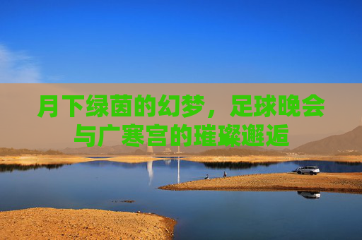 月下绿茵的幻梦,足球晚会与广寒宫的璀璨邂逅