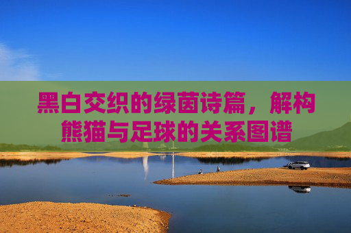黑白交织的绿茵诗篇,解构熊猫与足球的关系图谱
