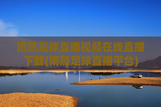 雨燕足球直播视频在线直播下载(雨燕足球直播平台)