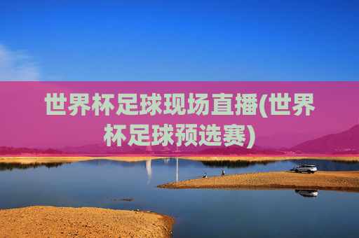 世界杯足球现场直播(世界杯足球预选赛)