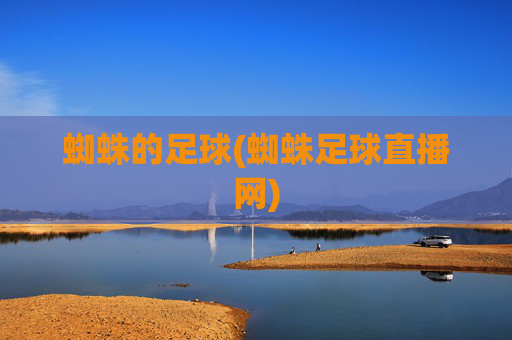 蜘蛛的足球(蜘蛛足球直播网)