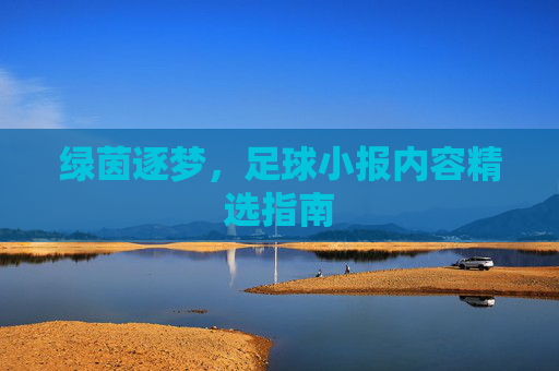 绿茵逐梦,足球小报内容精选指南