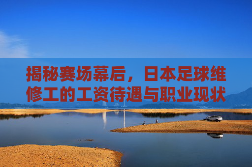 揭秘赛场幕后,日本足球维修工的工资待遇与职业现状