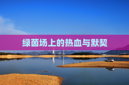 绿茵场上的热血与默契