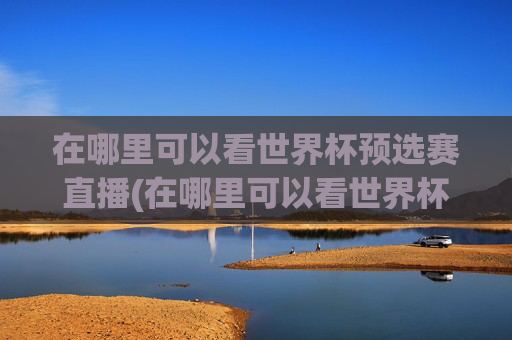 在哪里可以看世界杯预选赛直播(在哪里可以看世界杯预选赛直播回放)