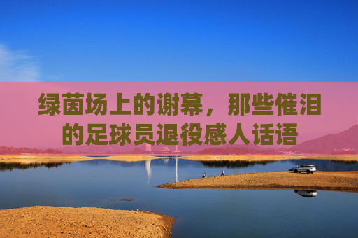 绿茵场上的谢幕,那些催泪的足球员退役感人话语