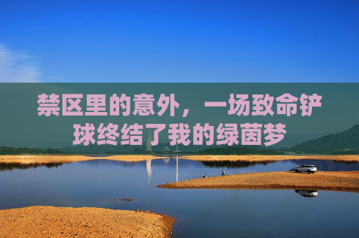 禁区里的意外,一场致命铲球终结了我的绿茵梦