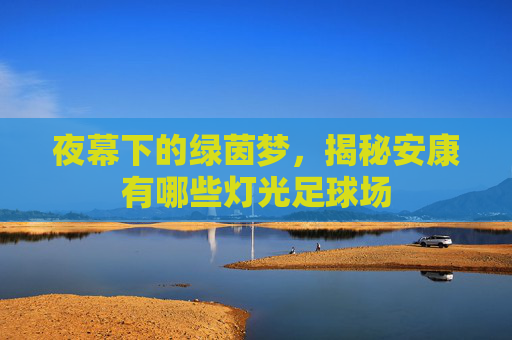 夜幕下的绿茵梦,揭秘安康有哪些灯光足球场