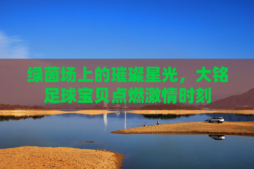 绿茵场上的璀璨星光,大铭足球宝贝点燃激情时刻