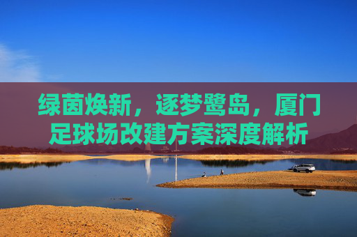 绿茵焕新,逐梦鹭岛,厦门足球场改建方案深度解析