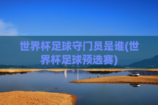 世界杯足球守门员是谁(世界杯足球预选赛)