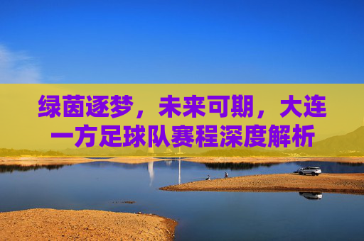 绿茵逐梦,未来可期,大连一方足球队赛程深度解析