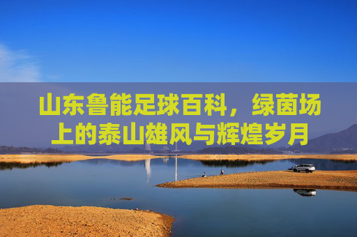 山东鲁能足球百科,绿茵场上的泰山雄风与辉煌岁月