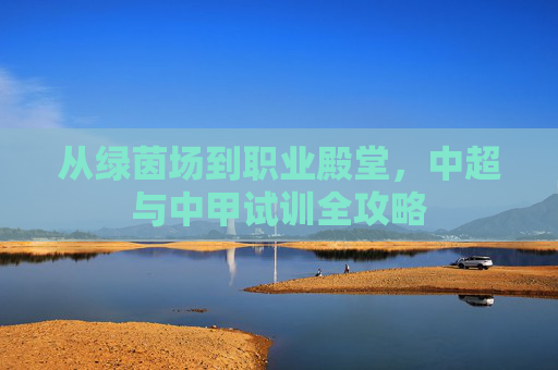 从绿茵场到职业殿堂,中超与中甲试训全攻略