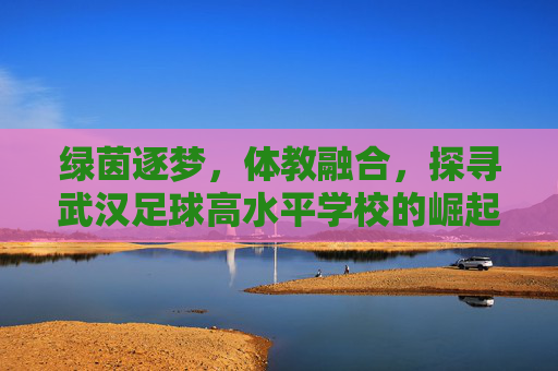 绿茵逐梦,体教融合,探寻武汉足球高水平学校的崛起之路