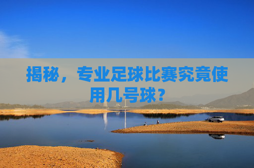 揭秘,专业足球比赛究竟使用几号球?