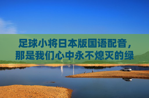 足球小将日本版国语配音,那是我们心中永不熄灭的绿茵梦想