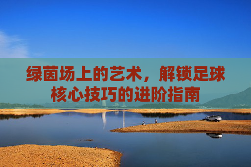 绿茵场上的艺术,解锁足球核心技巧的进阶指南