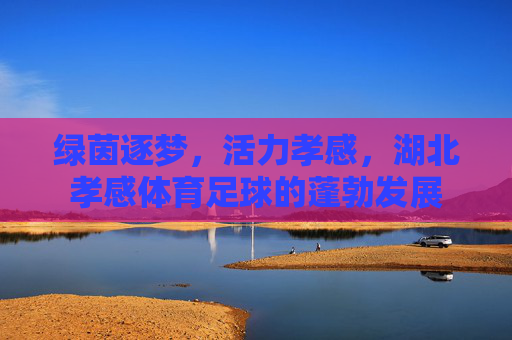 绿茵逐梦,活力孝感,湖北孝感体育足球的蓬勃发展