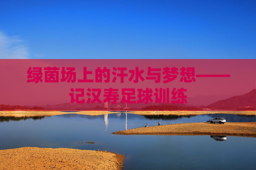 绿茵场上的汗水与梦想——记汉寿足球训练