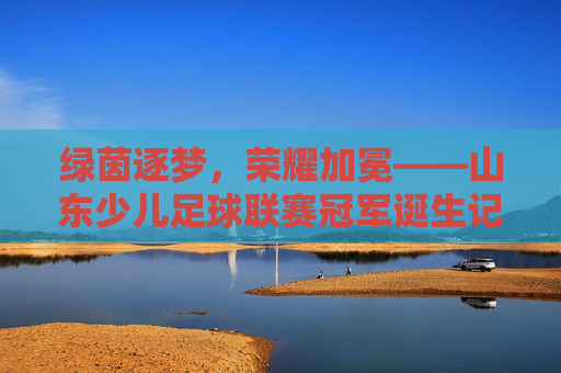 绿茵逐梦,荣耀加冕——山东少儿足球联赛冠军诞生记