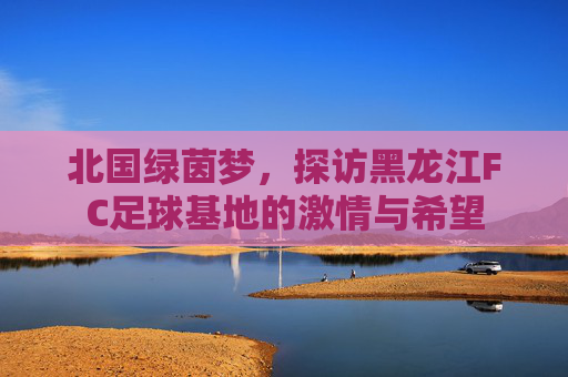 北国绿茵梦,探访黑龙江FC足球基地的激情与希望