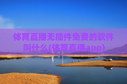 体育直播无插件免费的软件叫什么(体育直播app)