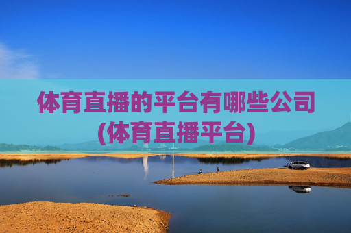 体育直播的平台有哪些公司(体育直播平台)