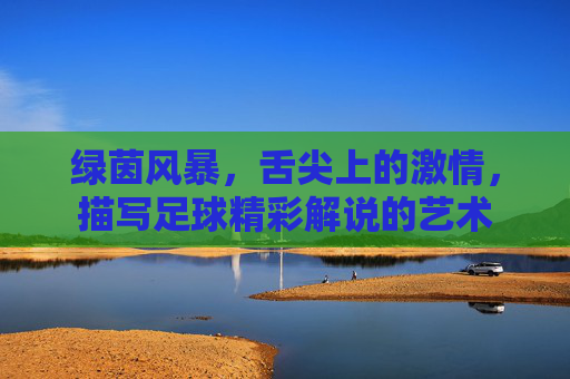 绿茵风暴,舌尖上的激情,描写足球精彩解说的艺术