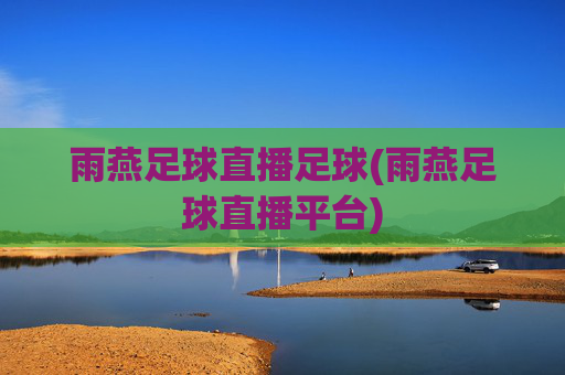 雨燕足球直播足球(雨燕足球直播平台)