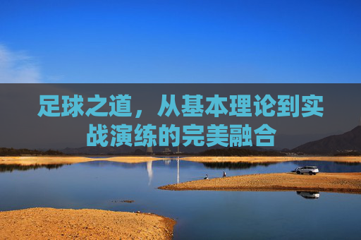 足球之道,从基本理论到实战演练的完美融合