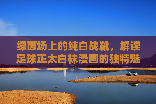绿茵场上的纯白战靴,解读足球正太白袜漫画的独特魅力