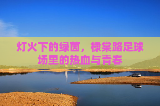 灯火下的绿茵，棣棠路足球场里的热血与青春