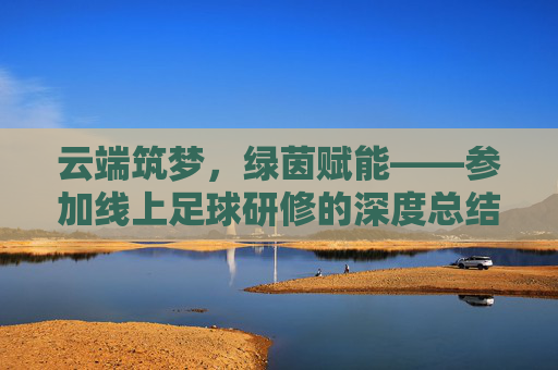 云端筑梦，绿茵赋能——参加线上足球研修的深度总结与反思