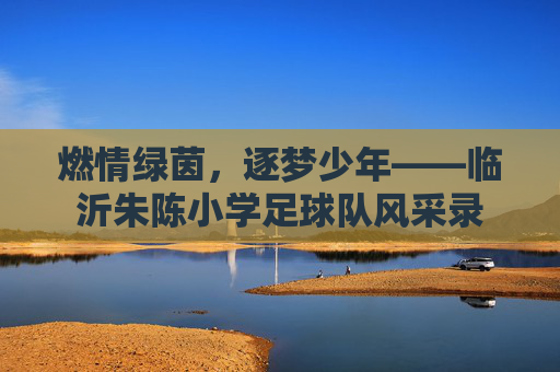 燃情绿茵,逐梦少年——临沂朱陈小学足球队风采录