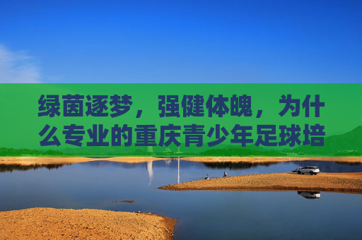 绿茵逐梦,强健体魄,为什么专业的重庆青少年足球培训班是孩子的最佳选择?