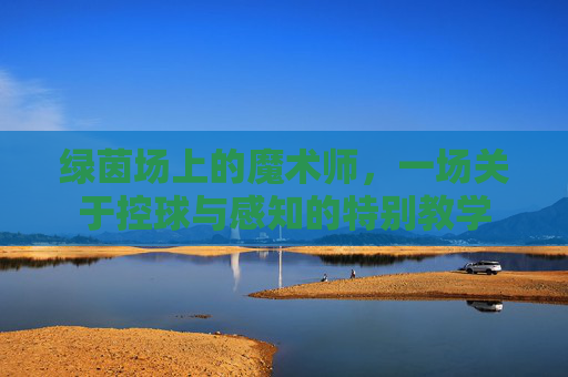 绿茵场上的魔术师,一场关于控球与感知的特别教学
