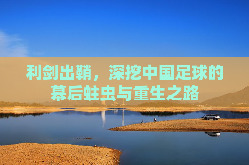 利剑出鞘,深挖中国足球的幕后蛀虫与重生之路