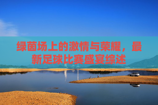 绿茵场上的激情与荣耀,最新足球比赛盛宴综述