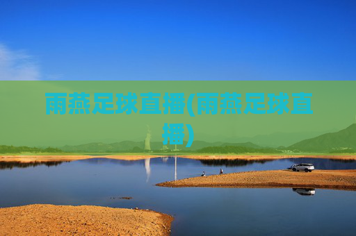 雨燕足球直播(雨燕足球直播)