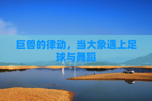 巨兽的律动,当大象遇上足球与舞蹈
