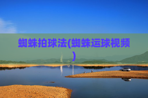 蜘蛛拍球法(蜘蛛运球视频)