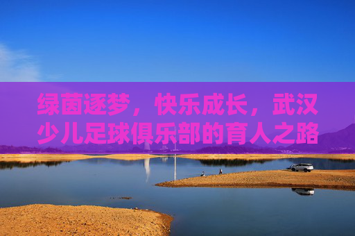 绿茵逐梦,快乐成长,武汉少儿足球俱乐部的育人之路