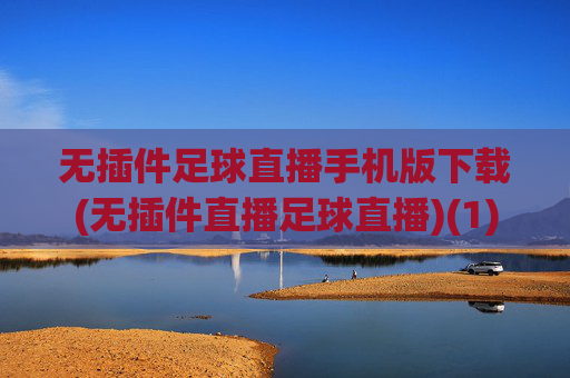 无插件足球直播手机版下载(无插件直播足球直播)(1)