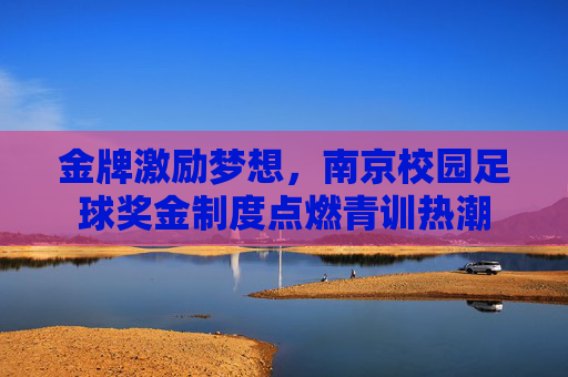 金牌激励梦想,南京校园足球奖金制度点燃青训热潮