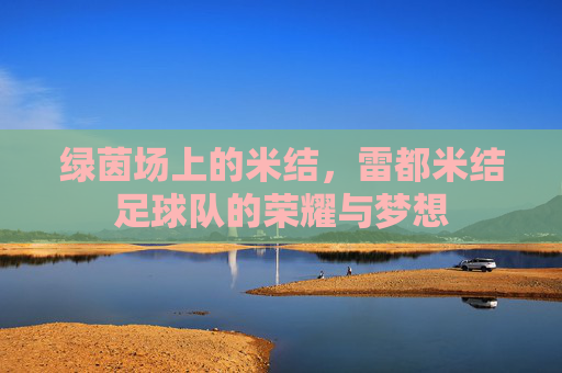 绿茵场上的米结,雷都米结足球队的荣耀与梦想