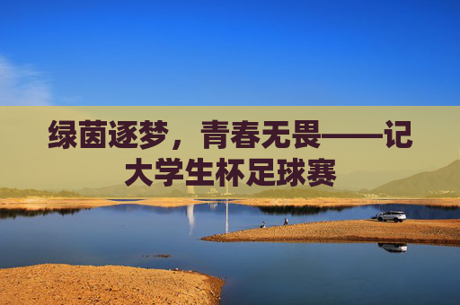 绿茵逐梦,青春无畏——记大学生杯足球赛