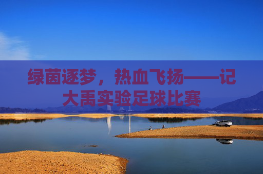 绿茵逐梦,热血飞扬——记大禹实验足球比赛