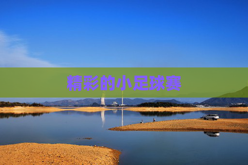 精彩的小足球赛